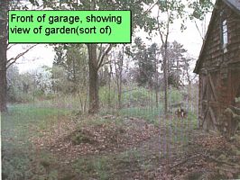 gal/251 North West St. - 2003/tn_azf.jpg